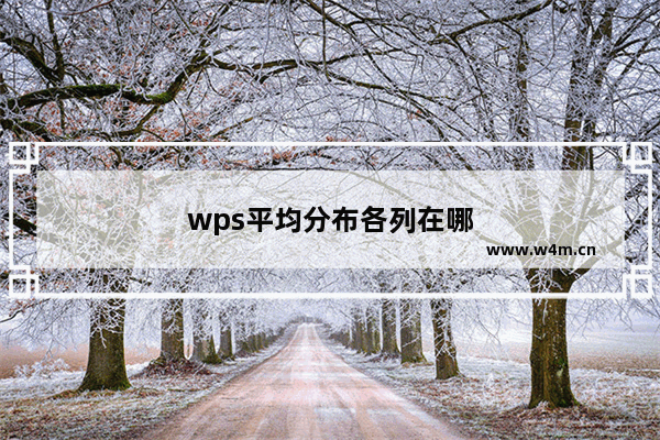 wps平均分布各列在哪