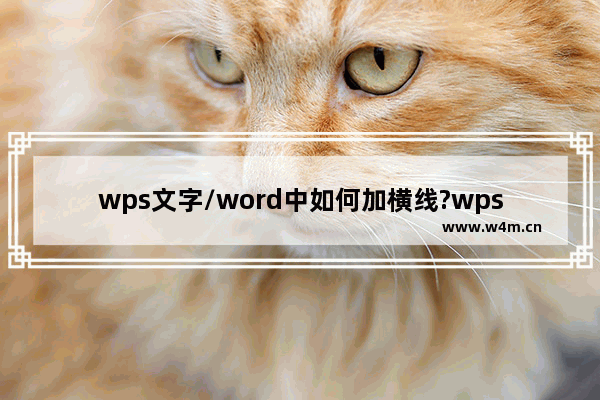 wps文字/word中如何加横线?wps文字/word中加横线的方法