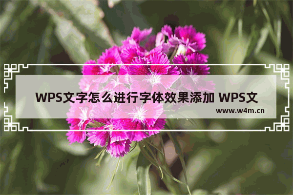 WPS文字怎么进行字体效果添加 WPS文字进行字体效果添加操作教学