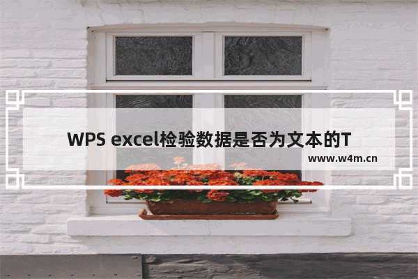 WPS excel检验数据是否为文本的T函数