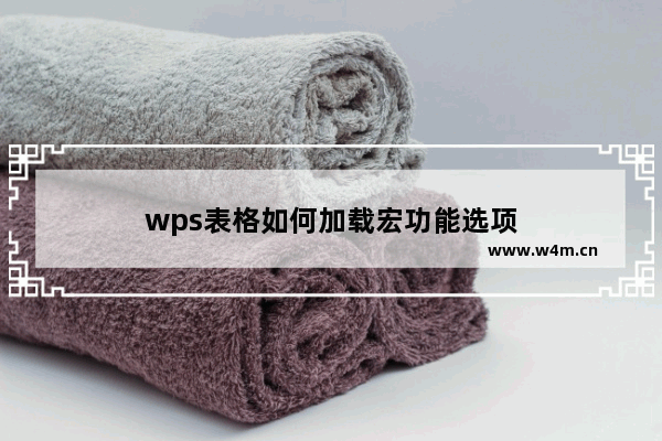 wps表格如何加载宏功能选项