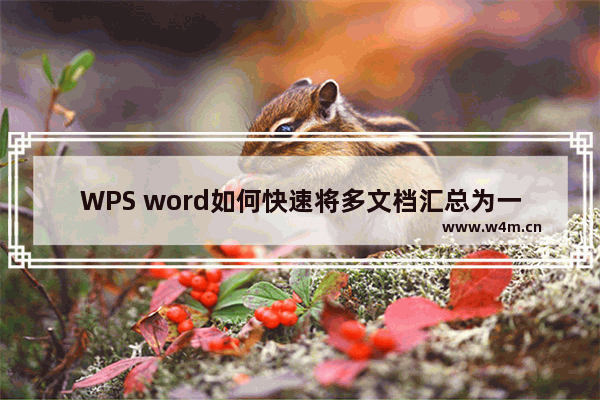 WPS word如何快速将多文档汇总为一个文档