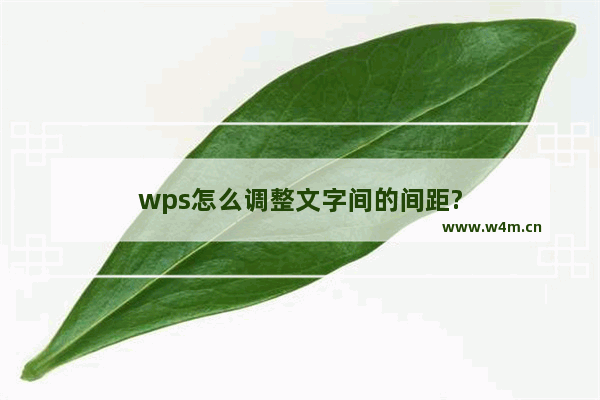 wps怎么调整文字间的间距?