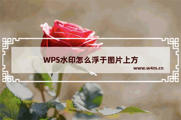 WPS水印怎么浮于图片上方