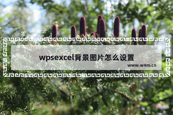 wpsexcel背景图片怎么设置