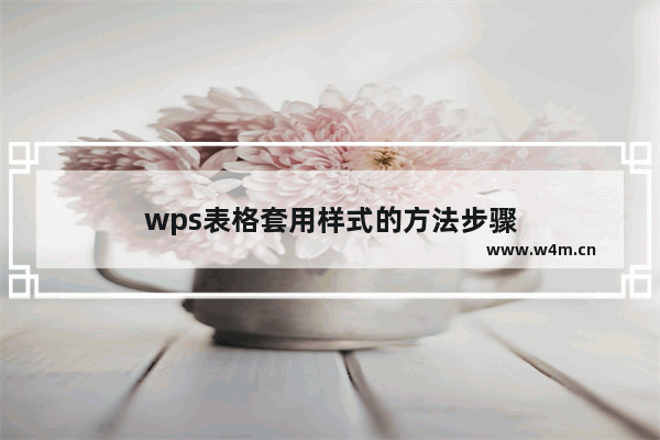 wps表格套用样式的方法步骤