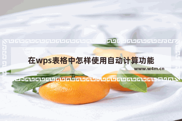 在wps表格中怎样使用自动计算功能