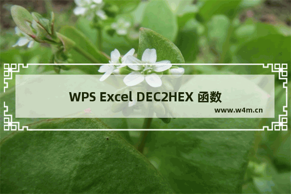 WPS Excel DEC2HEX 函数怎么用