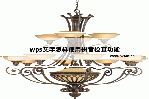 wps文字怎样使用拼音检查功能