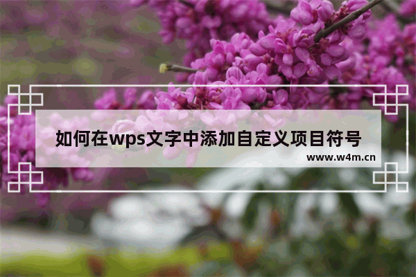 如何在wps文字中添加自定义项目符号