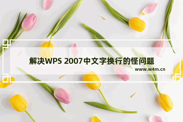 解决WPS 2007中文字换行的怪问题