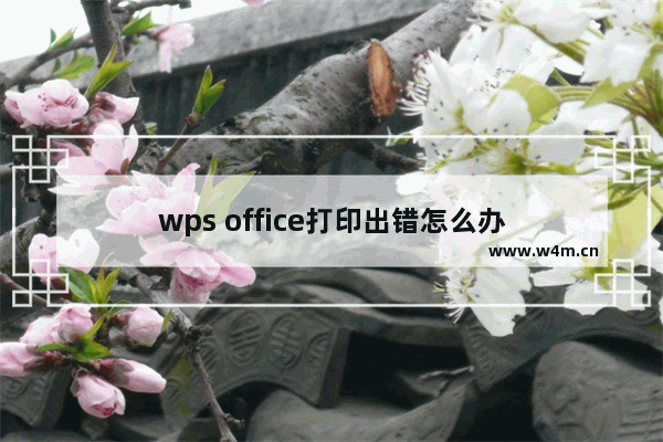 wps office打印出错怎么办