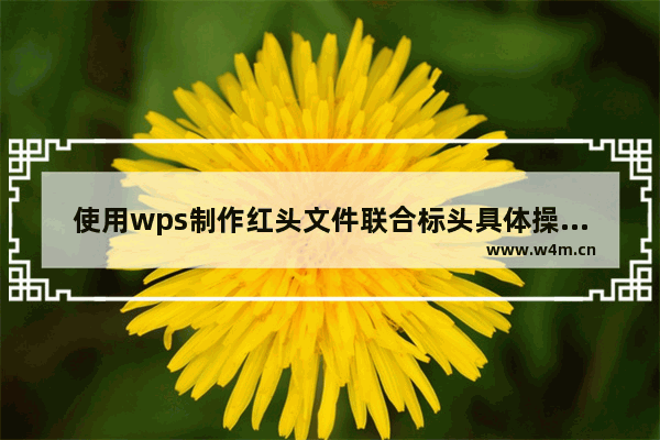 使用wps制作红头文件联合标头具体操作步骤