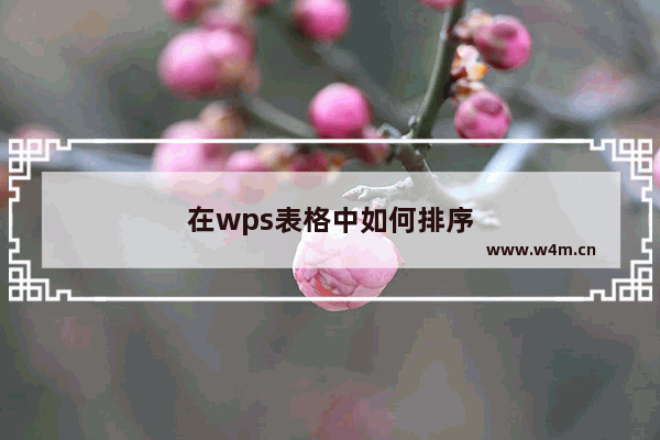 在wps表格中如何排序