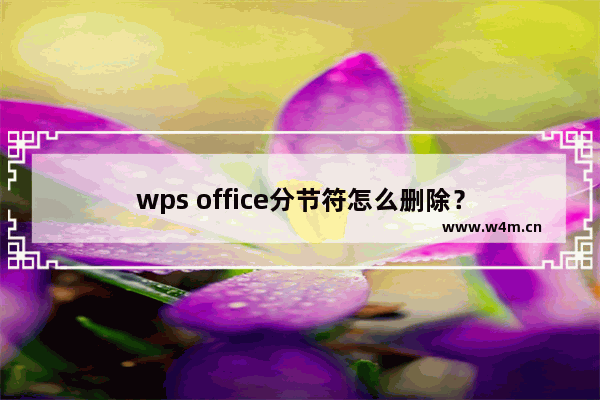 wps office分节符怎么删除？