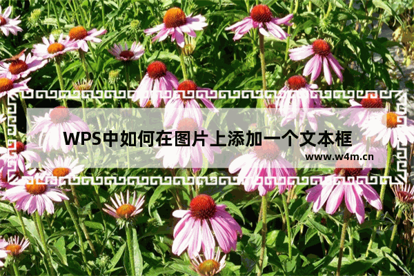 WPS中如何在图片上添加一个文本框