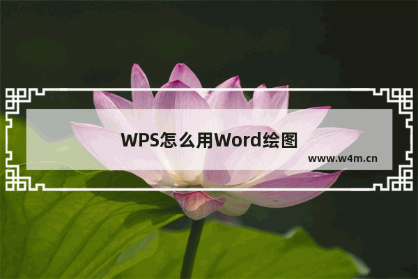 WPS怎么用Word绘图