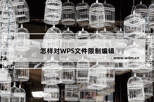 怎样对WPS文件限制编辑