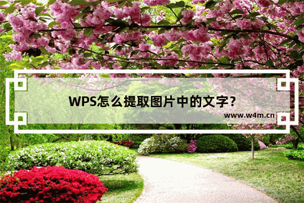 WPS怎么提取图片中的文字？