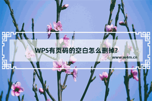 WPS有页码的空白怎么删掉?