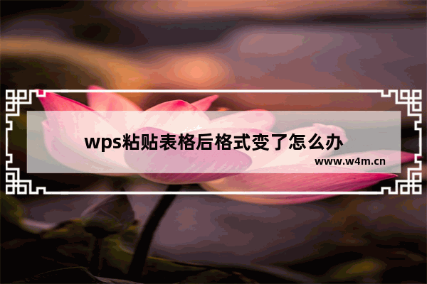 wps粘贴表格后格式变了怎么办