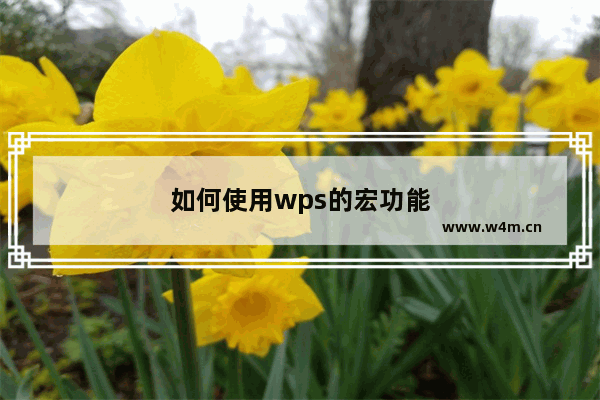 如何使用wps的宏功能