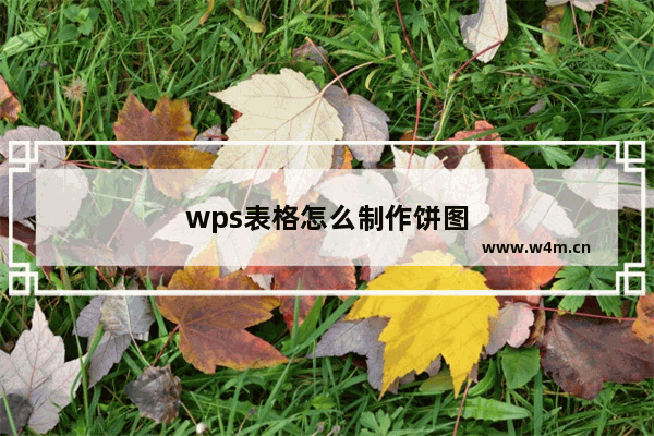 wps表格怎么制作饼图