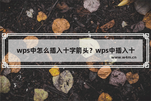 wps中怎么插入十字箭头？wps中插入十字箭头的步骤