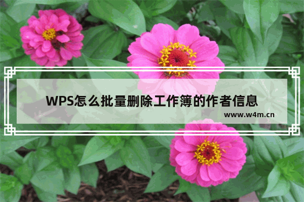 WPS怎么批量删除工作簿的作者信息