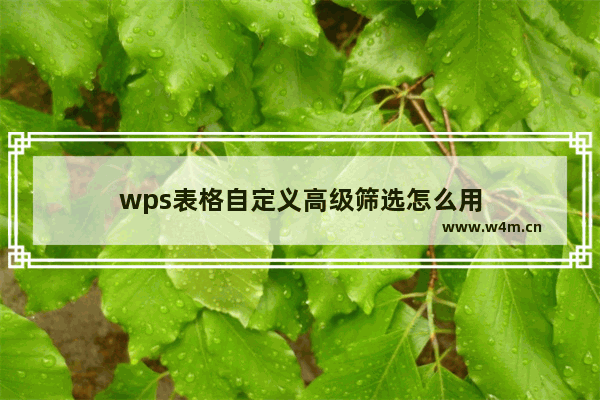 wps表格自定义高级筛选怎么用