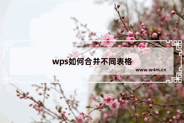 wps如何合并不同表格