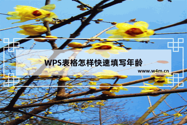 WPS表格怎样快速填写年龄