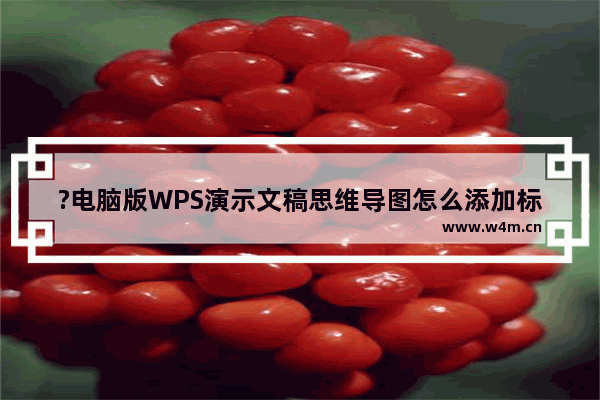 ?电脑版WPS演示文稿思维导图怎么添加标签