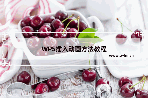 WPS插入动画方法教程