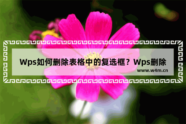 Wps如何删除表格中的复选框？Wps删除表格中复选框方法