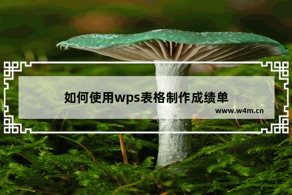 如何使用wps表格制作成绩单