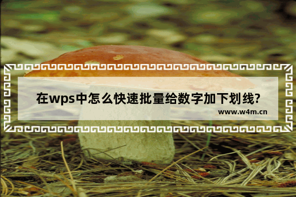 在wps中怎么快速批量给数字加下划线?