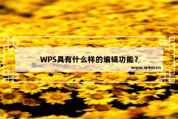 WPS具有什么样的编辑功能？