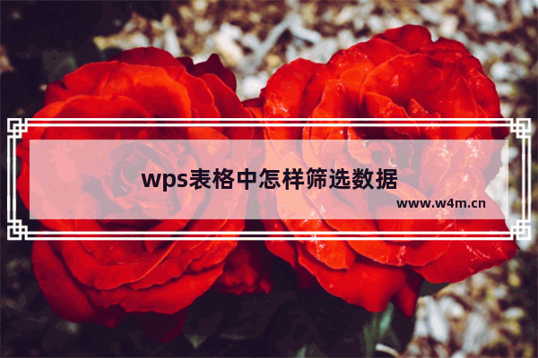 wps表格中怎样筛选数据