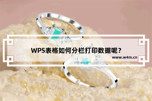 WPS表格如何分栏打印数据呢？