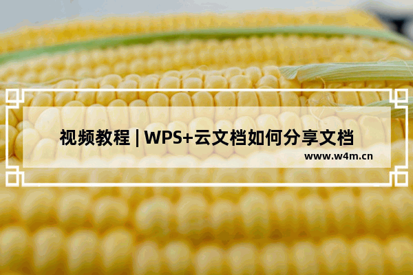 视频教程 | WPS+云文档如何分享文档链接