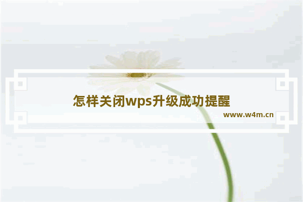 怎样关闭wps升级成功提醒