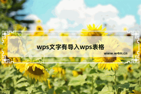 wps文字有导入wps表格