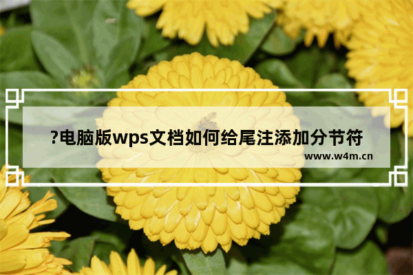 ?电脑版wps文档如何给尾注添加分节符