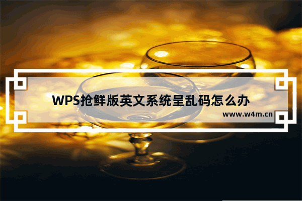 WPS抢鲜版英文系统呈乱码怎么办