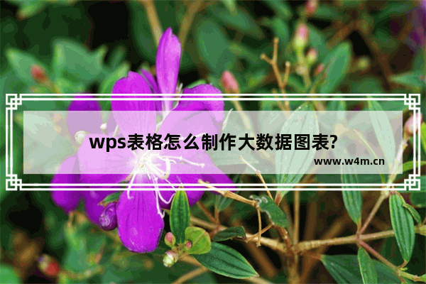 wps表格怎么制作大数据图表?