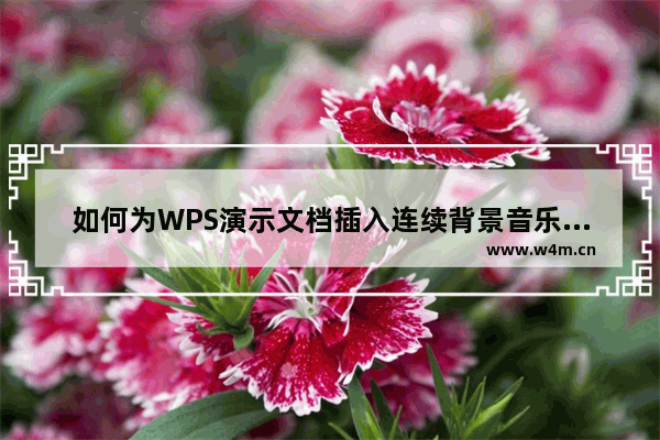 如何为WPS演示文档插入连续背景音乐？为WPS演示文档插入连续背景音乐的教程