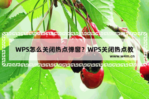 WPS怎么关闭热点弹窗？WPS关闭热点教程