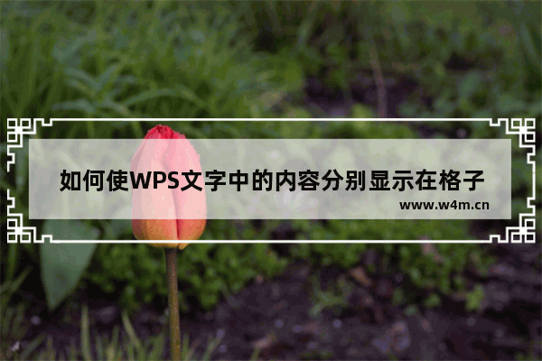 如何使WPS文字中的内容分别显示在格子