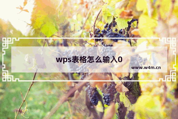 wps表格怎么输入0